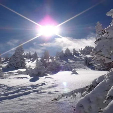 Kitzkamm By Managers Apartman