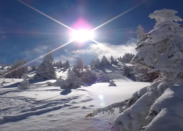 Kitzkamm By Managers Appartamento